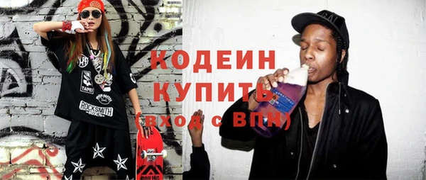 хмурый Алексин