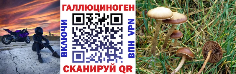 Галлюциногенные грибы MAGIC MUSHROOMS  Фурманов 